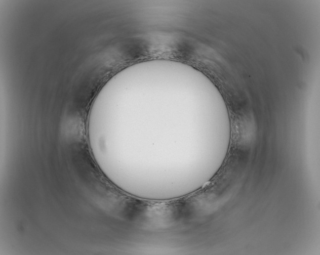 X0000112010705200908031307