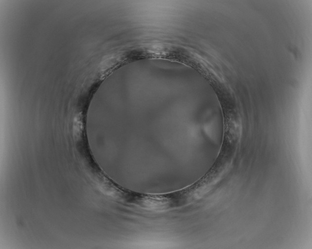 X0000112010707200908031307