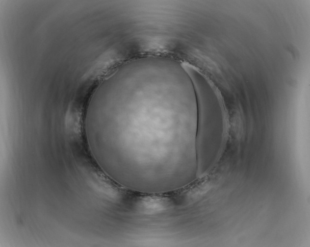X0000112010708200908031307