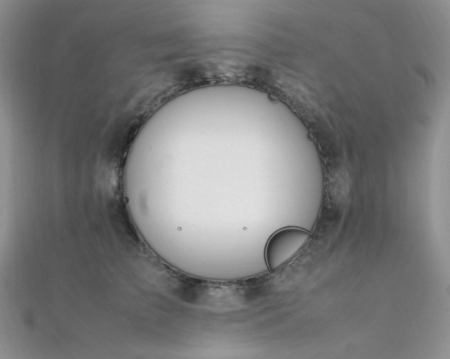 X0000112010709200908031307