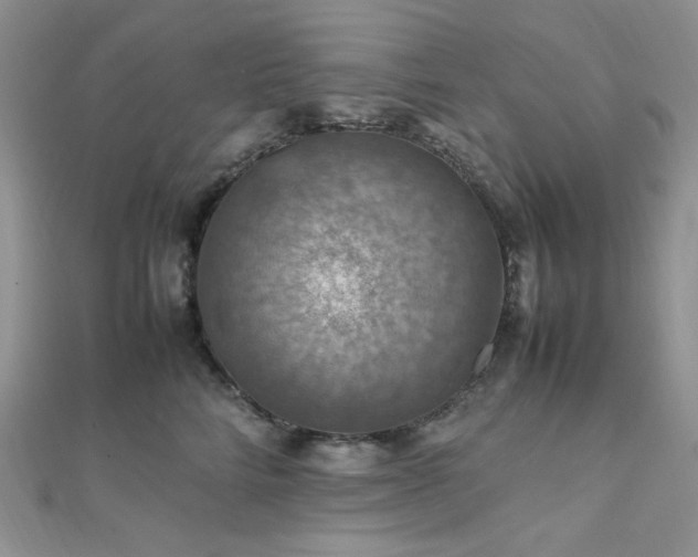 X0000112010712200908031307