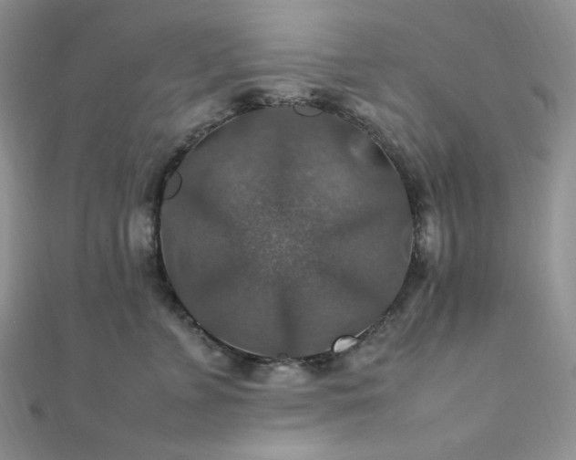 X0000112010715200908031307