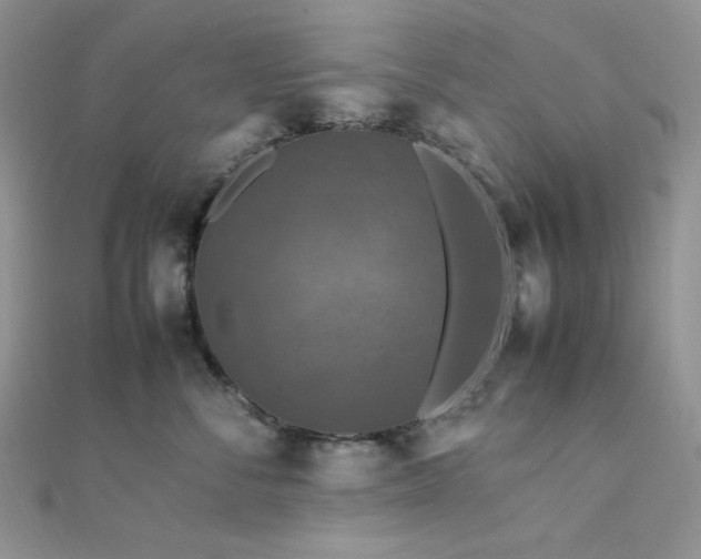 X0000112010716200908031307