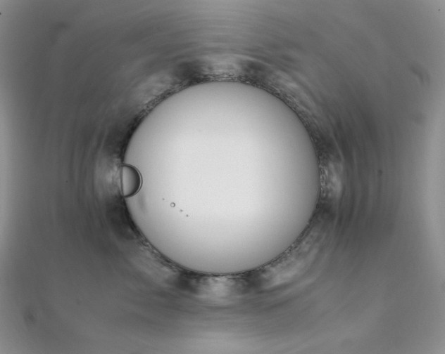 X0000112010717200908031307