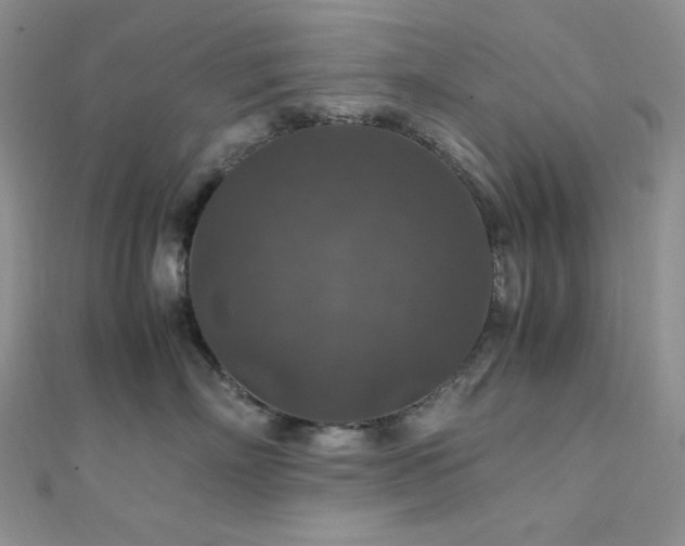 X0000112010718200908031307