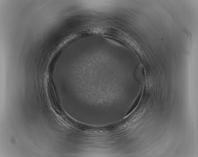 X0000112010722200908031306