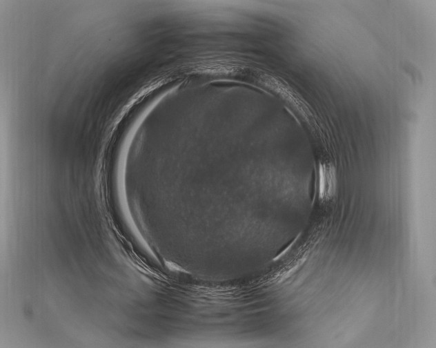 X0000112010723200908031306