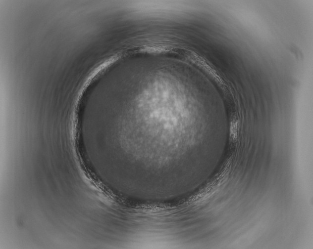 X0000112010724200908031306