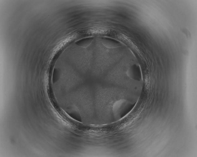 X0000112010725200908031306