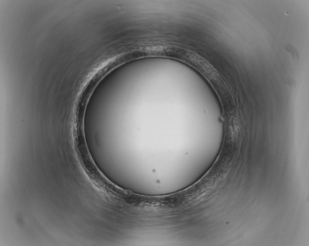 X0000112010728200908031306