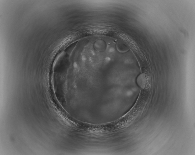 X0000112010729200908031306