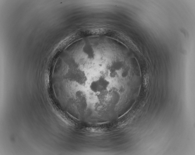 X0000112010733200908031306
