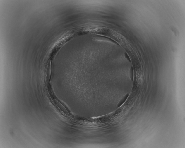 X0000112010735200908031306