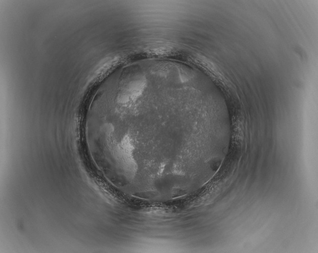 X0000112010738200908031306