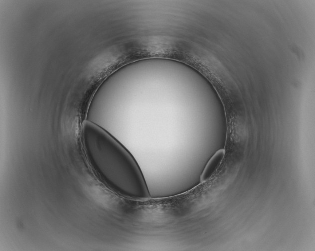 X0000112010740200908031306