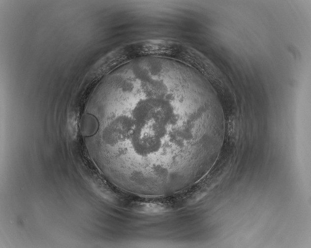 X0000112010741200908031306