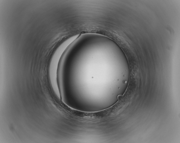 X0000112010744200908031306