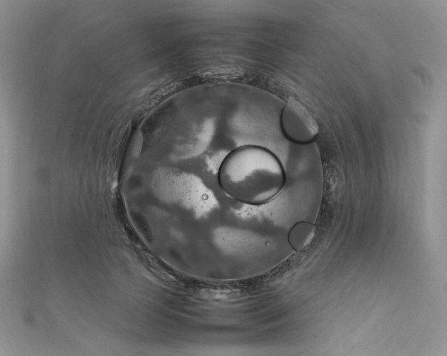 X0000112010745200908031306