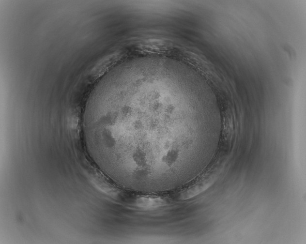 X0000112010749200908031306