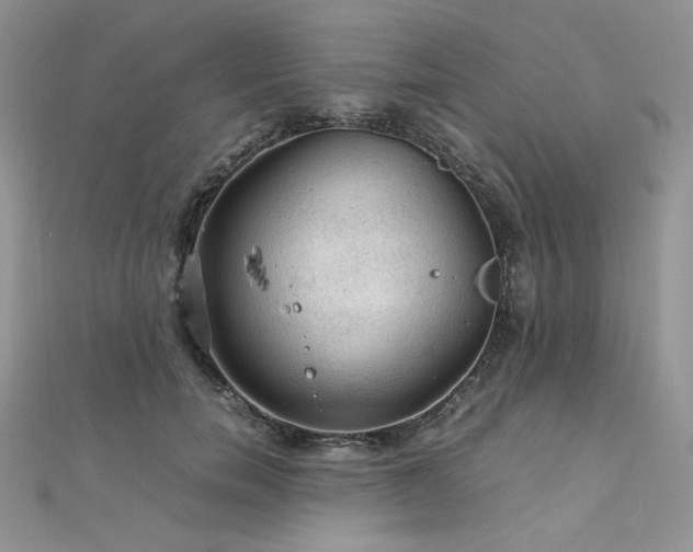 X0000112010750200908031306