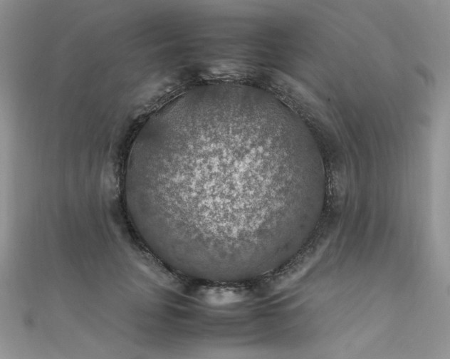 X0000112010751200908031306