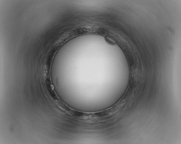 X0000112010752200908031306