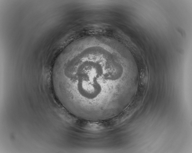 X0000112010753200908031306