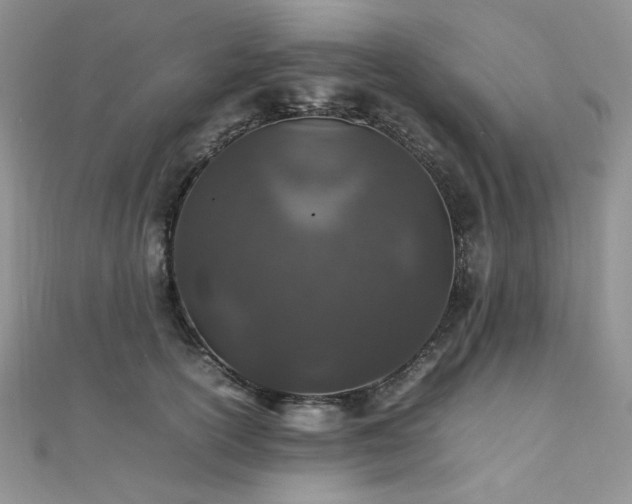 X0000112010754200908031306