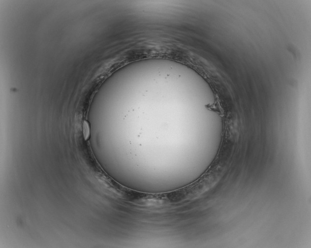 X0000112010756200908031306