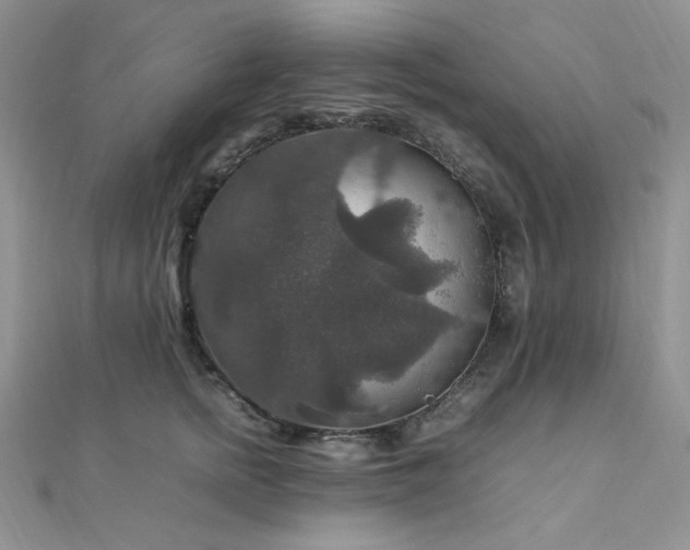 X0000112010758200908031306