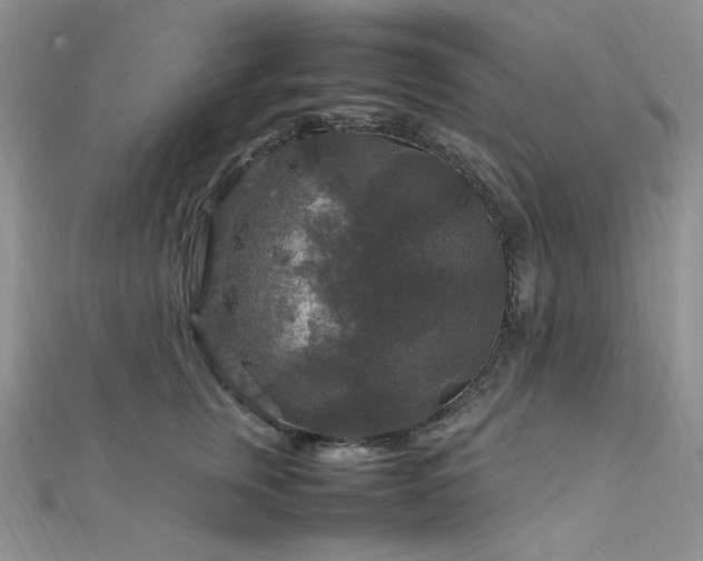 X0000112010759200908031307