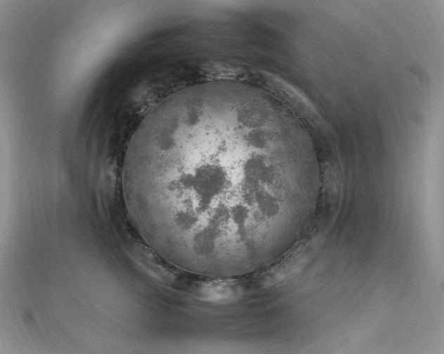 X0000112010761200908031307