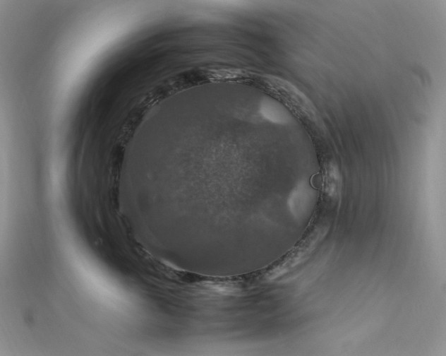 X0000112010763200908031307