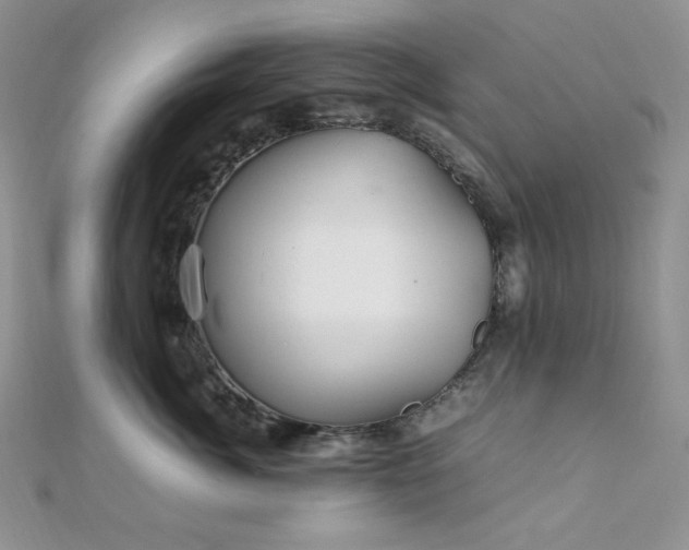 X0000112010764200908031307