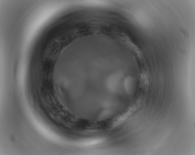 X0000112010765200908031307
