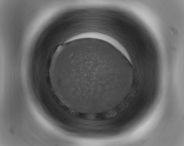 X0000112010766200908031307