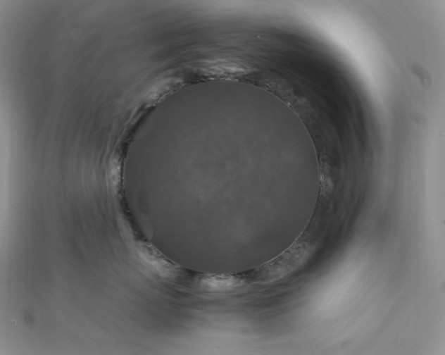 X0000112010767200908031307