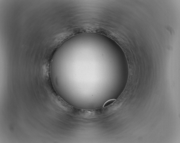X0000112010768200908031307