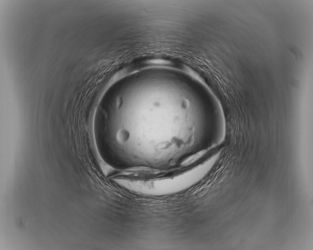 X0000112010769200908031306