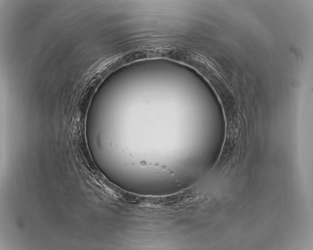 X0000112010773200908031306