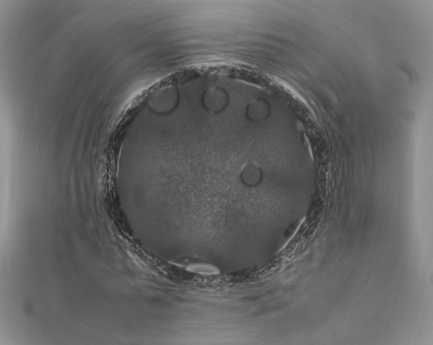 X0000112010775200908031306