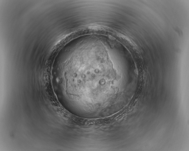 X0000112010776200908031306