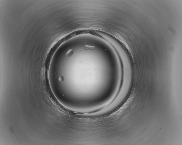 X0000112010781200908031306
