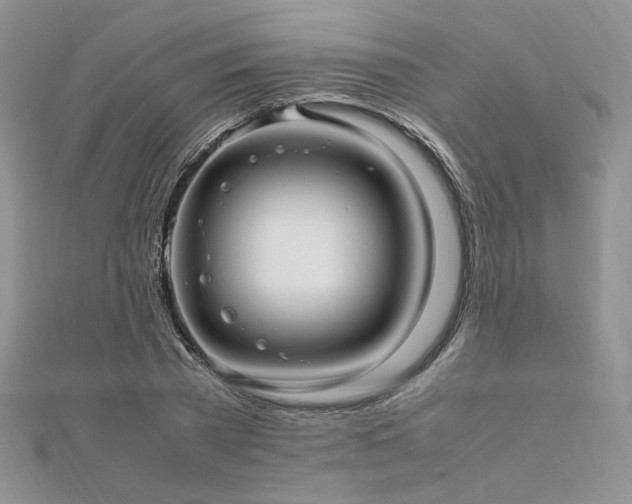 X0000112010785200908031306