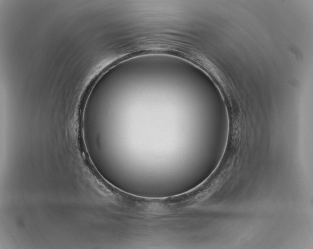 X0000112010787200908031306