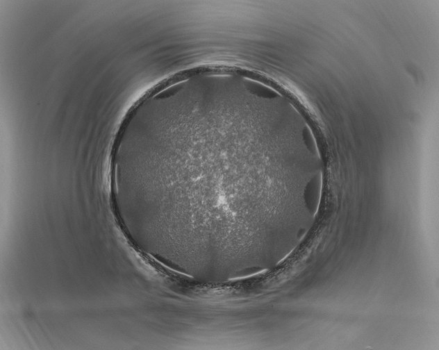 X0000112010791200908031306