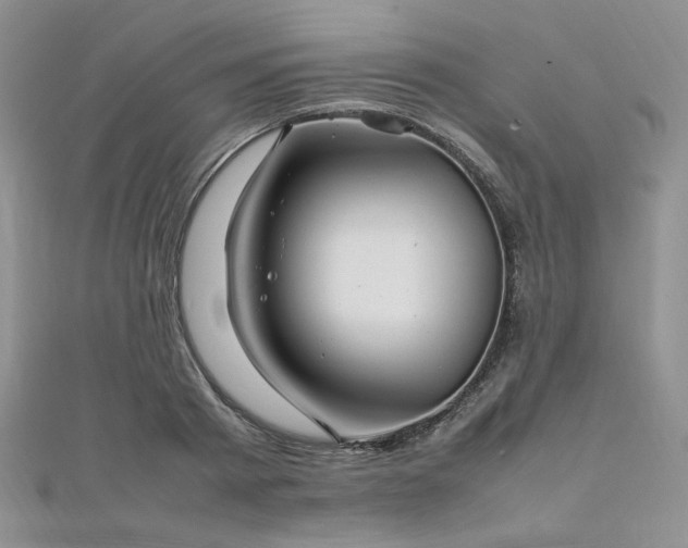 X0000112010793200908031306