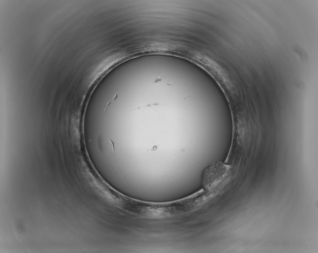 X0000112010794200908031306