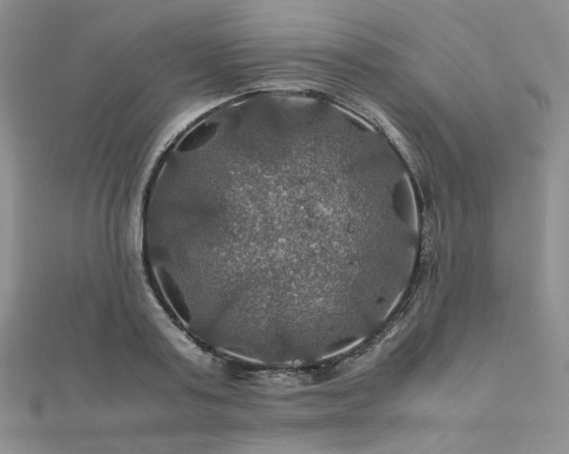 X0000112010795200908031306
