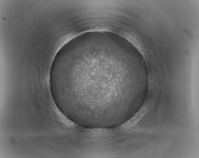 X0000112010797200908031306